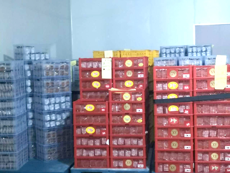 3000  李阳拍 配送中心月饼3.jpg